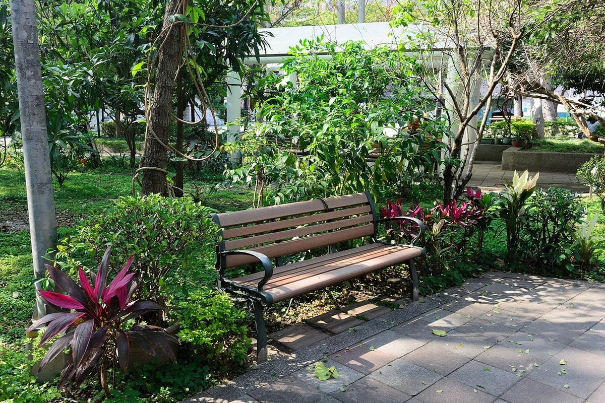 A park bench among plants, casting a shadow on the path